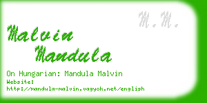 malvin mandula business card